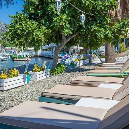 Tamara Bed & Breakfast