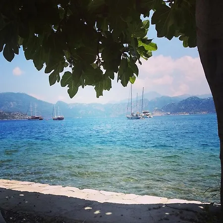 Tamara Selimiye (Aegean)