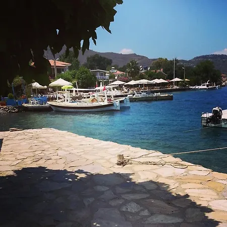 Tamara Selimiye (Aegean)