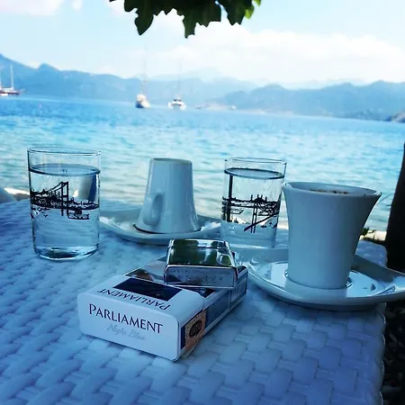 Bed & Breakfast Tamara *