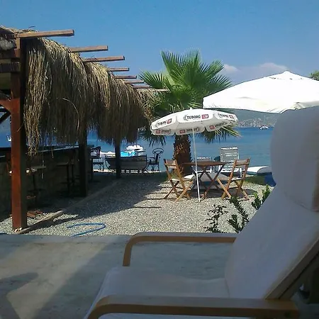 Bed & Breakfast Tamara *