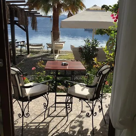 Bed & Breakfast Tamara *