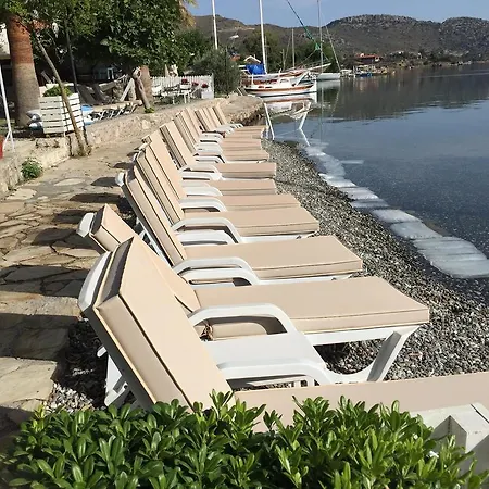 Bed & Breakfast Tamara *