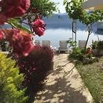 לינה וארוחת בוקר Tamara