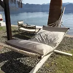 Tamara סלימייה