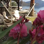 לינה וארוחת בוקר Tamara