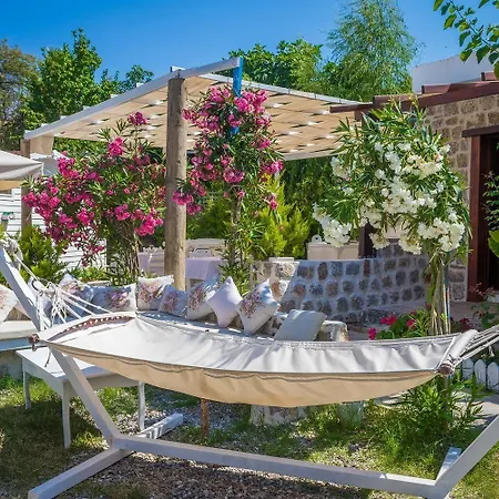 Tamara * Selimiye (Aegean)