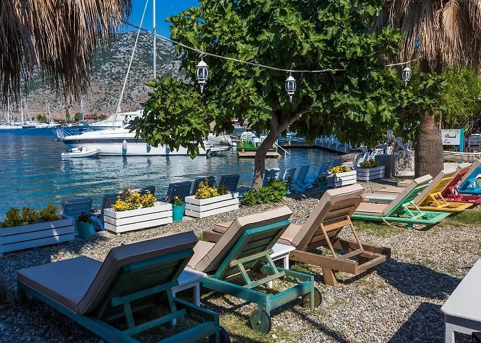 فندق مبيت وإفطار Tamara السليمية