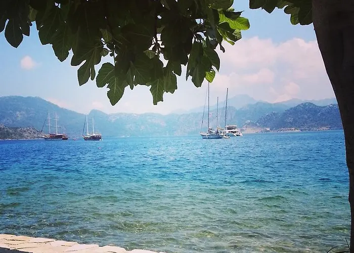 Tamara السليمية