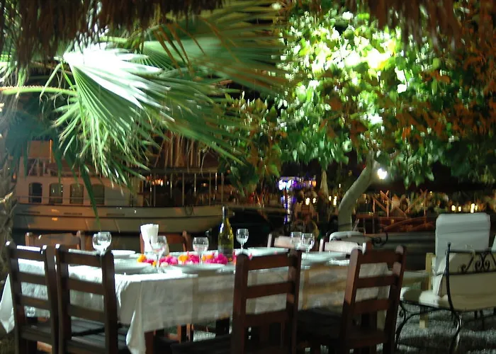 Tamara السليمية