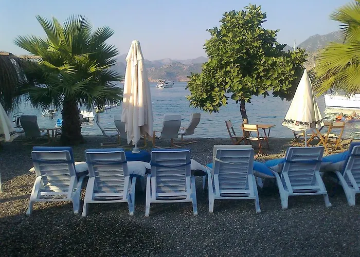 Tamara السليمية