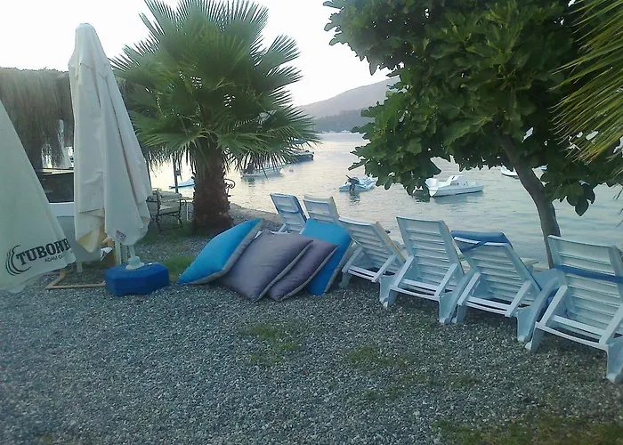 Tamara السليمية