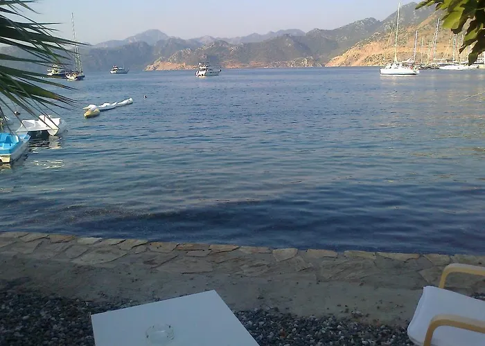 Tamara السليمية