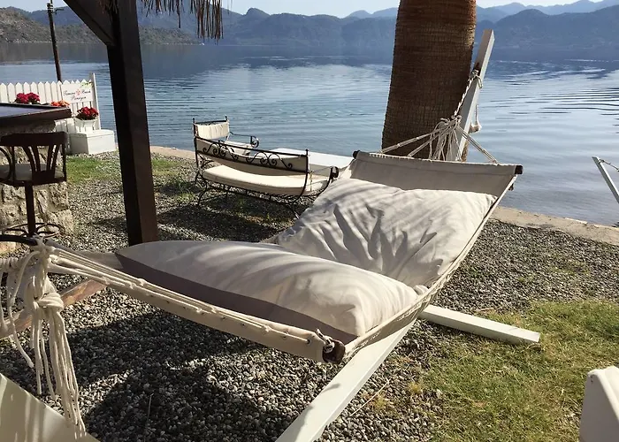 Tamara السليمية