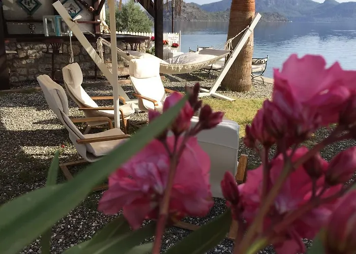 فندق مبيت وإفطار Tamara