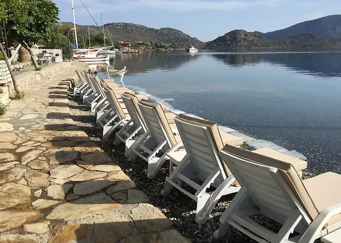 Tamara السليمية