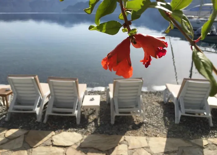 فندق مبيت وإفطار Tamara السليمية