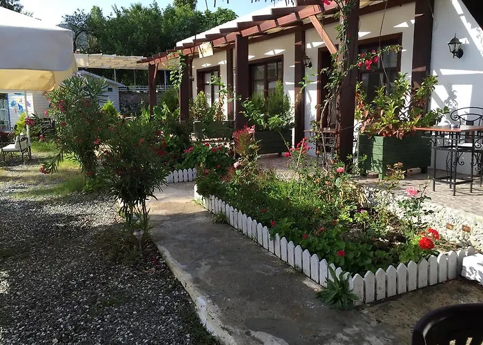 Tamara السليمية